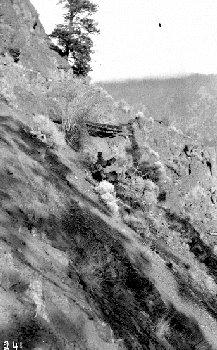 BC Archives # NA-03796, Trail up N. Fork of Bridge River, 1913