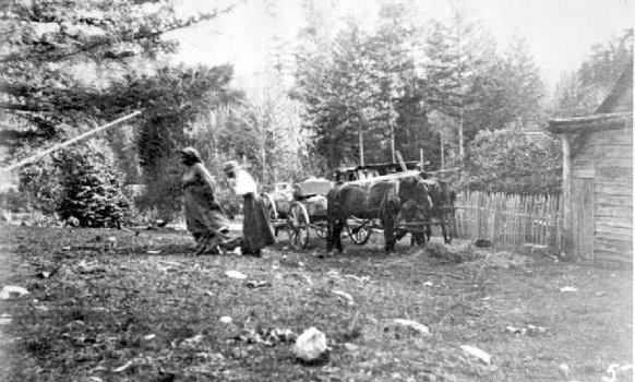 BC Archives # D-04065, Wagon on the Lillooet Trail, nr. Port Douglas, 1890s