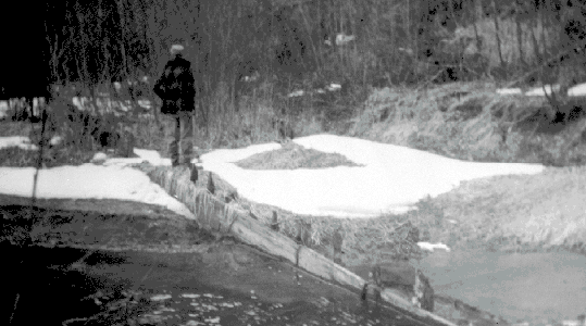 BC Archives # C-00916, Possible Remains of SS Prince of Wales, Lillooet Lake nr. Pemberton, photo unknown, March 1957