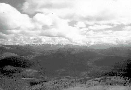 BC Archives # I-64485, Survey photograph is Tyaughton Creek area