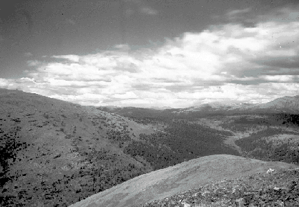 BC Archives # I-64487, Survey photograph is Tyaughton Creek area