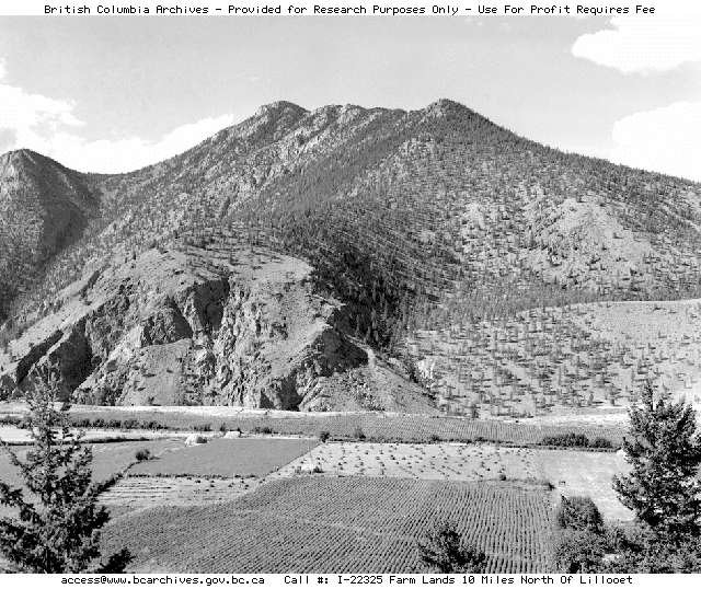 BC Archives # I-22325, Farm Lands 10 Mi. N. of Lillooet (Fountain Flats)