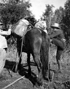 Horses on Main Street, Lillooet, 1950s, E. Cleven Photo