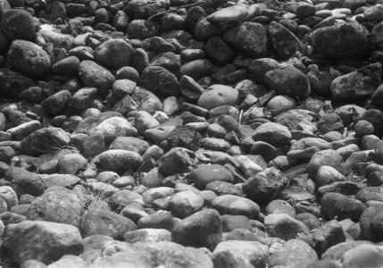 Chinese washed-rock piles left over from placer operations, Lillooet, M. Cleven photo