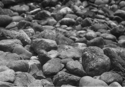 Chinese washed-rock piles left over from placer operations, Lillooet, M. Cleven photo